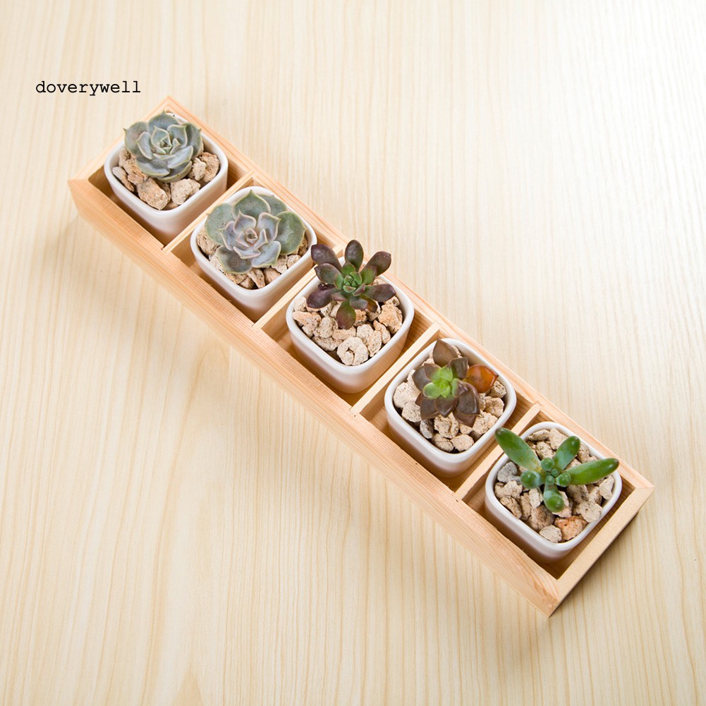 Hộp đựng chậu cây cảnh bằng gỗ nhiều ngăn
