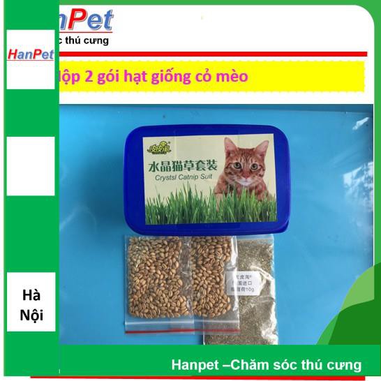 Hộp 2 gói hạt giống cỏ mèo (hanpet 384) tặng kèm 1 gói bột cỏ mèo