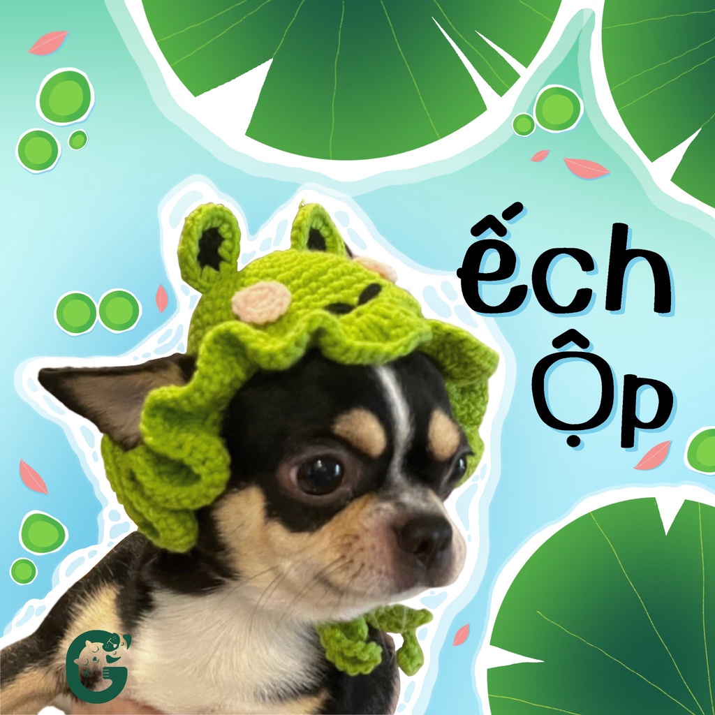Mũ len ếch cho chó mèo