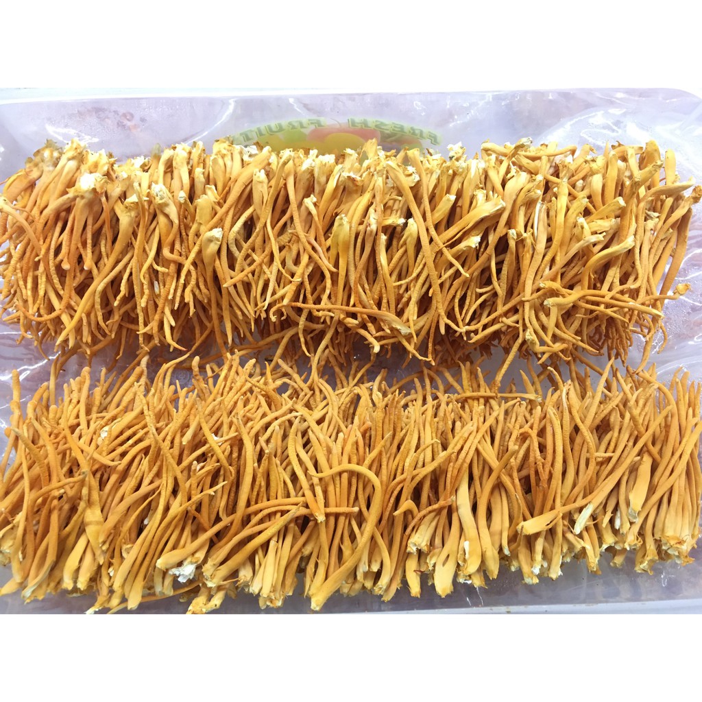 Đông Trùng Hạ Thảo Fungi Khô 10Gram Dược Chất Cao, Tăng Cường Sức khỏe, Giảm Tiểu Đường, Ăn Ngon Ngủ NgonShop KESHOUHIN | BigBuy360 - bigbuy360.vn