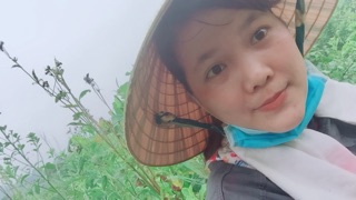500g cà gai leo tự nhiên