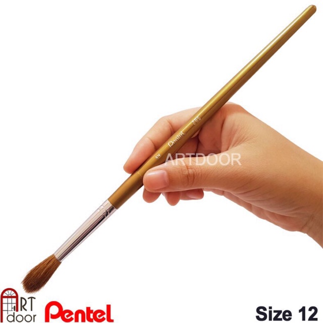 Bút vẽ màu nước pentel. Lông mềm. Không bị rụng lông, bút vừa tay cầm, dùng để vẽ màu nước