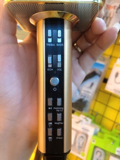 Mic hát Karaoke Blutooth SD-18
