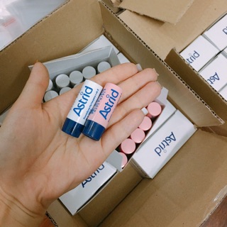 1 hộp 10 thỏi son mỡ hươu astrid