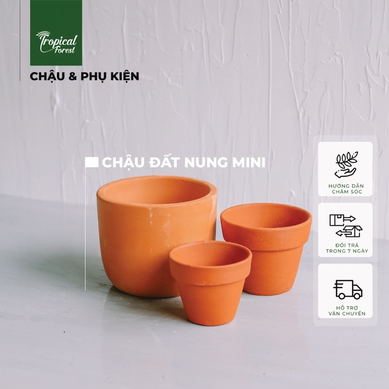 Chậu đất nung mini trồng cây TROPICAL FOREST