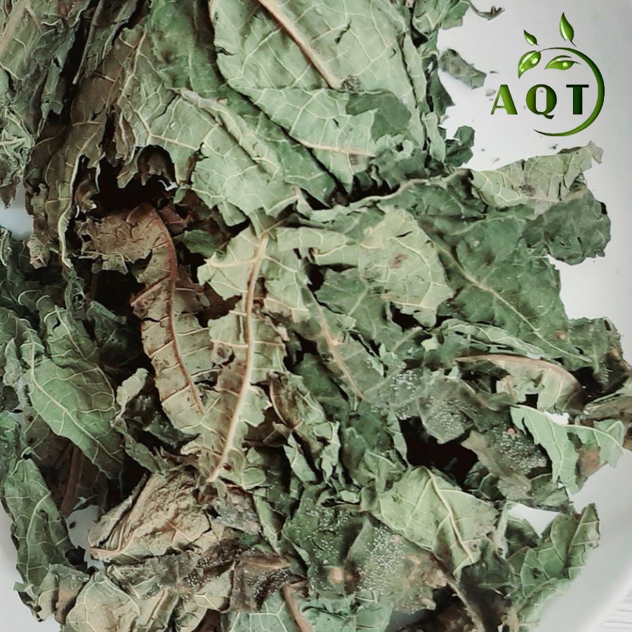 1Kg Lá Đu Đủ Đực Sấy Lạnh Xanh, Sạch Hỗ Trợ U Bướu, Tốt Cho Phổi
