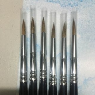 Cọ tỉa phoenix số 4