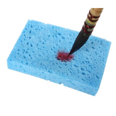 Bột biển AOWEN thấm màu nước, gouache