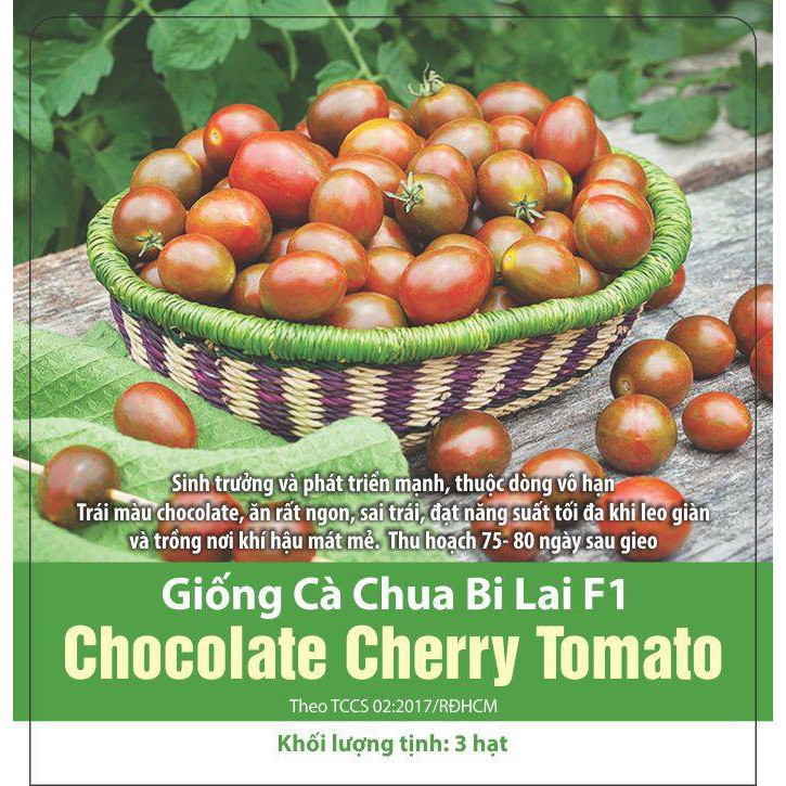 Hạt Giống Cà Chua Bi Lai F1 Chocolate Cherry Tomatoa Dễ Trồng, Năng Suất Cao 3 Hạt