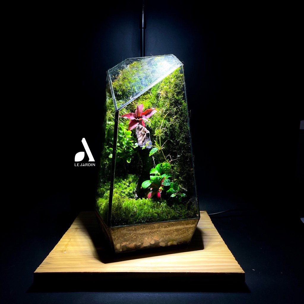Đèn led rọi đế gỗ  cho hồ cá, terrarium
