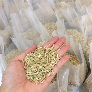 Gạo Séng Cù-An Food (Túi 1kg hút chân không)