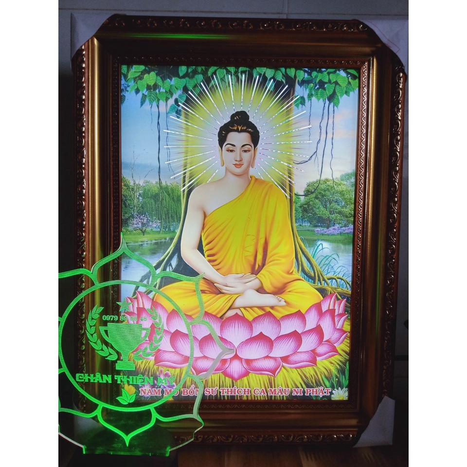 Tranh điện Phật Thích Ca_PTCT4