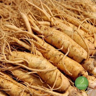 500gr Đẳng Sâm vị thuốc quý trị suy thận JD082