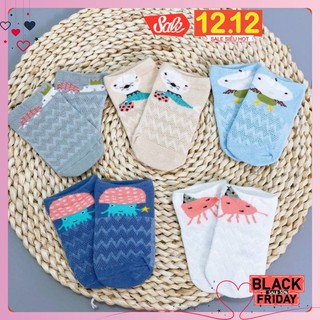 SET 5 Tất tiny alpaca cho bé yêu