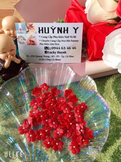 Hoa mai 2 tầng ( nail)