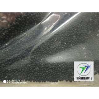 Gói 100 hạt giống măng tây xanh F1 xuất xứ Mỹ THANH TRUNG