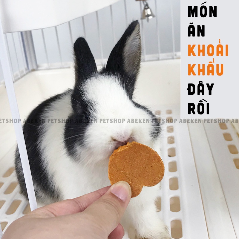 Bánh Cỏ Trái Tim kết hợp Trái Cây Rau Củ dành Cho Thỏ/ Bọ/ Sóc/ Hamster