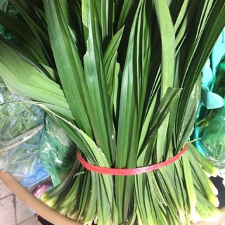 Lá dứa tươi 500g