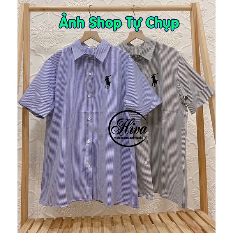 Áo sơ mi nữ vải lụa Hàn cộc tay lỡ thêu hình logo ngựa form rộng ulzzang ảnh thật