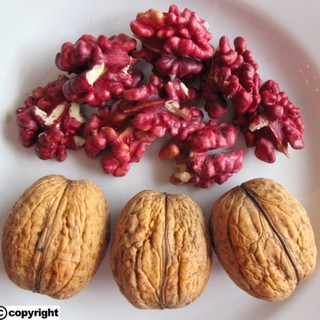Óc chó đỏ Mỹ ( 1000g)