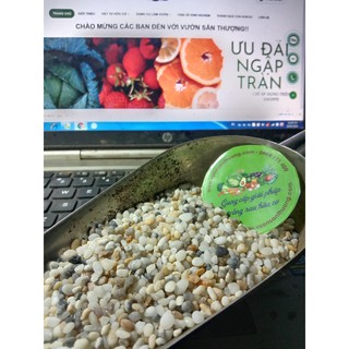 Sỏi Biển Tự Nhiên size 2_5mm, Trang Trí Tiểu Cảnh, Bể Cá, Chậu Trồng Cây,...Đa Năng, Màu tự Nhiên, Không Lo Phai
