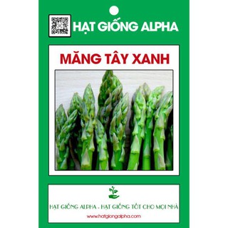 Hạt giống măng tây