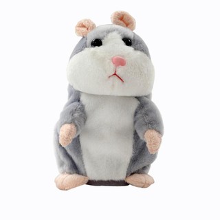 Chuột Hamster biết nói