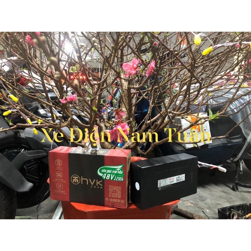 💢BH 2 năm💢 Pin lithium 48v12A lắp xe điện.