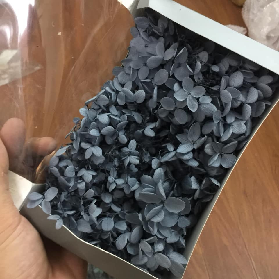Hộp hoa khô siêu lớn
