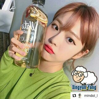 Combo 10 bình đựng nước pondang