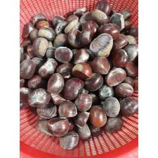 COMBO5kg HẠT DẺ TRÙNG KHÁNH LỌAI MỘT