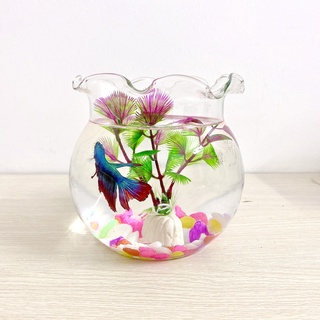 Bể Cá Thủy Tinh Hồ Cá Chậu Cây Miệng Bèo HB-03 ĐỂ BÀN  (Tặng kèm combo phụ kiện trang trí )