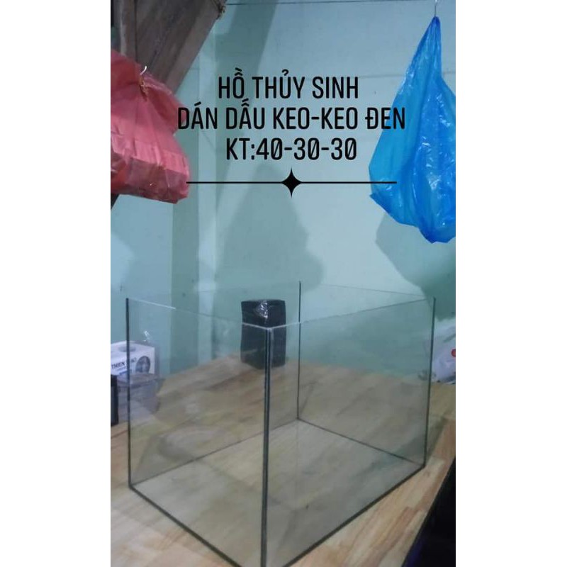 Hồ Cá Guppy 30.40.30