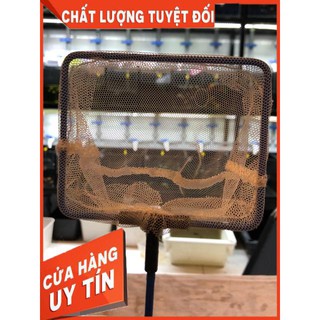 Vợt lưới vớt cá cảnh