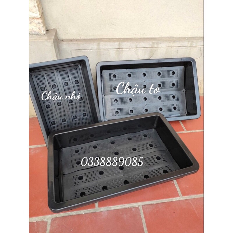 combo 5 Chậu ( máng) trồng rau dài 68cm rộng 42cm cao 16cm có lưới lót,hàng sẵn kho