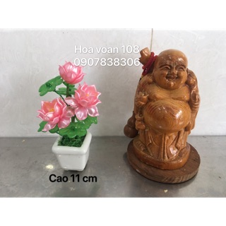 Chậu sen mini cao 11cm-3 bông