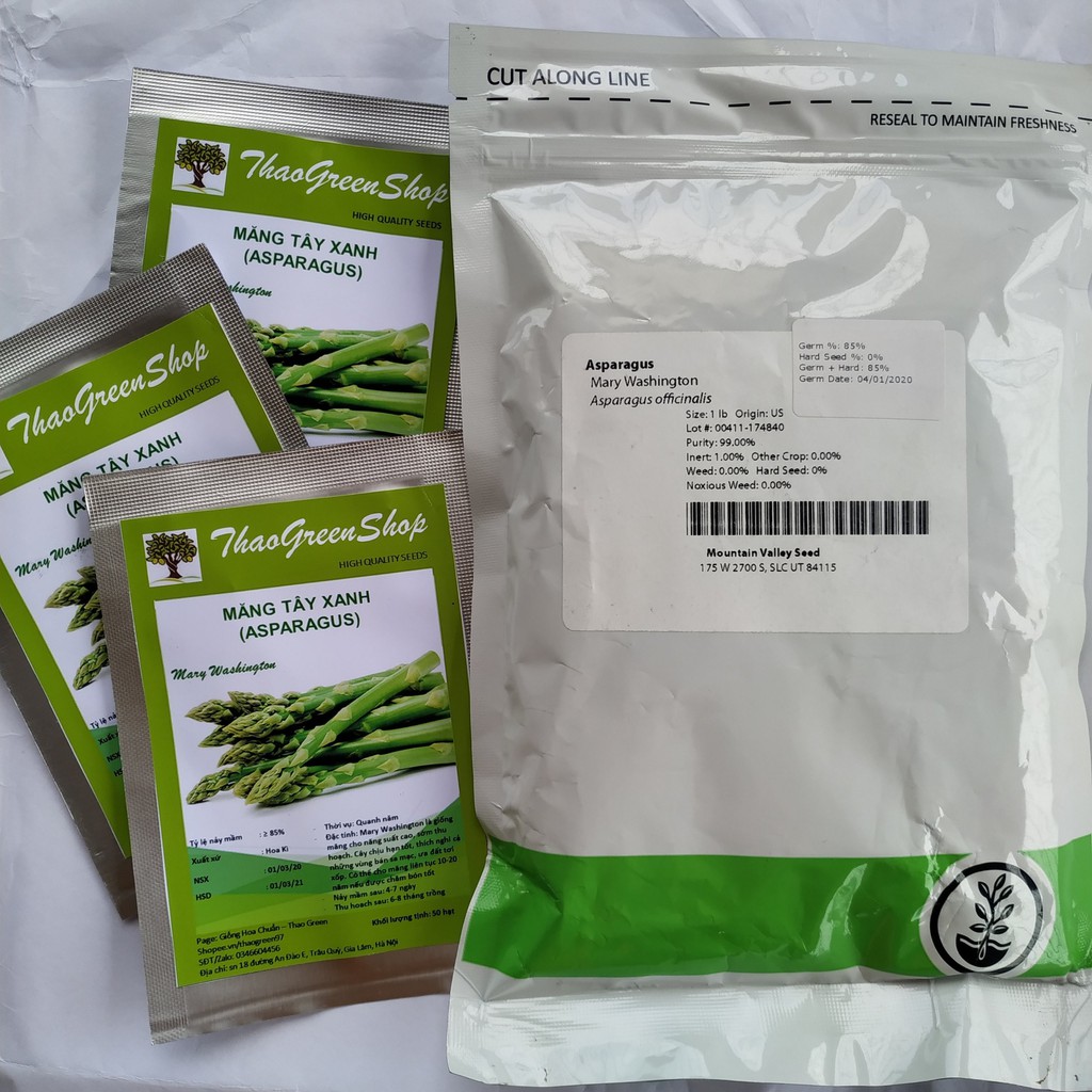 50 HẠT GIỐNG MĂNG TÂY XANH MERY WASHINGTON