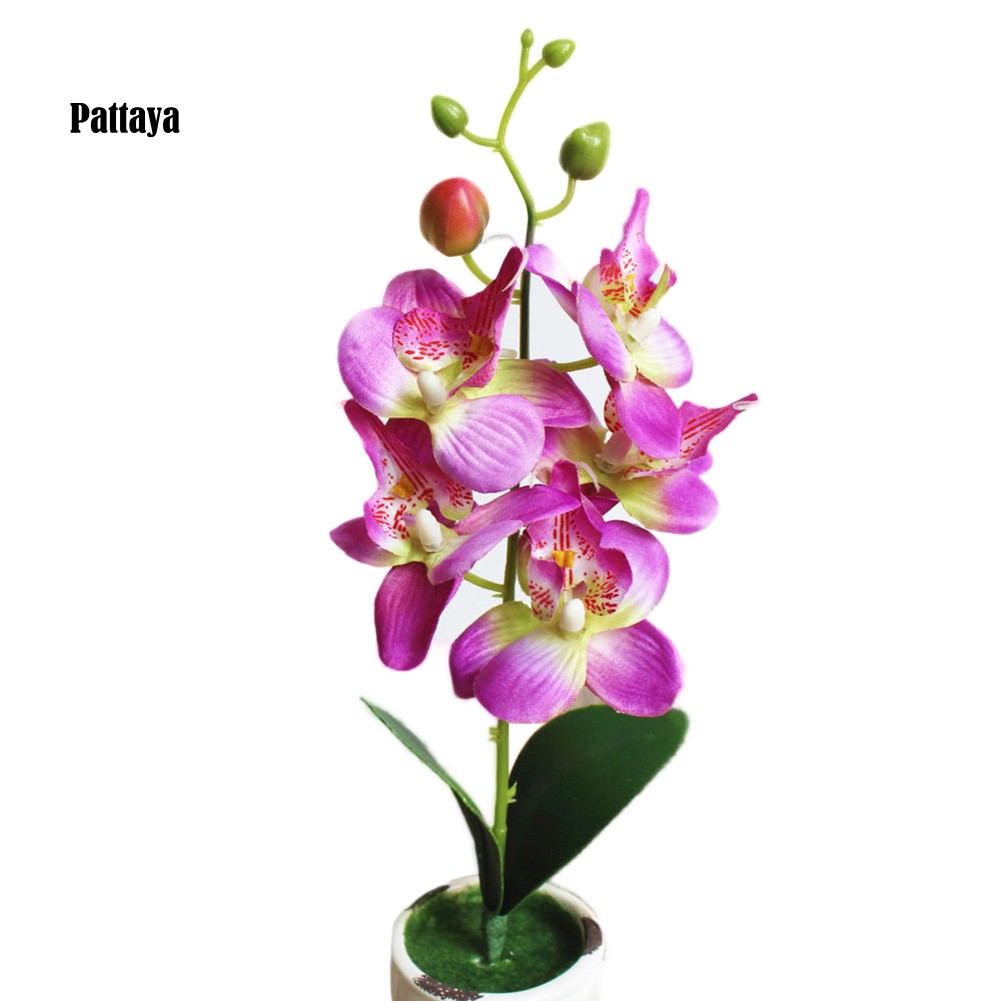 1 Cành Hoa Lan Giả Bằng Nhựa Dùng Trang Trí