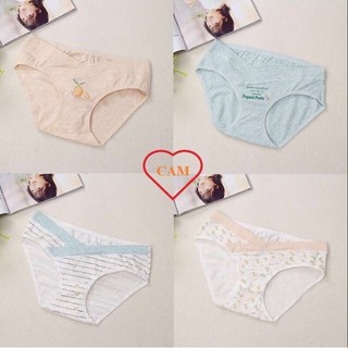 {COMBO 4 QUẦN} QUẦN LÓT BẦU COTTON CO GIÃN 4 CHIỀU