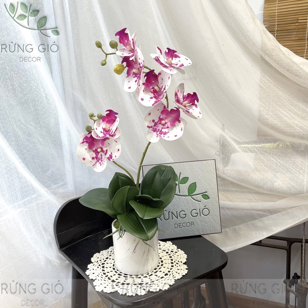 Set chậu Lan Hồ Điệp cành 2 NHÁNH SIZE TO , cao 47cm, lọ lan nhân tạo trang trí, mã set13