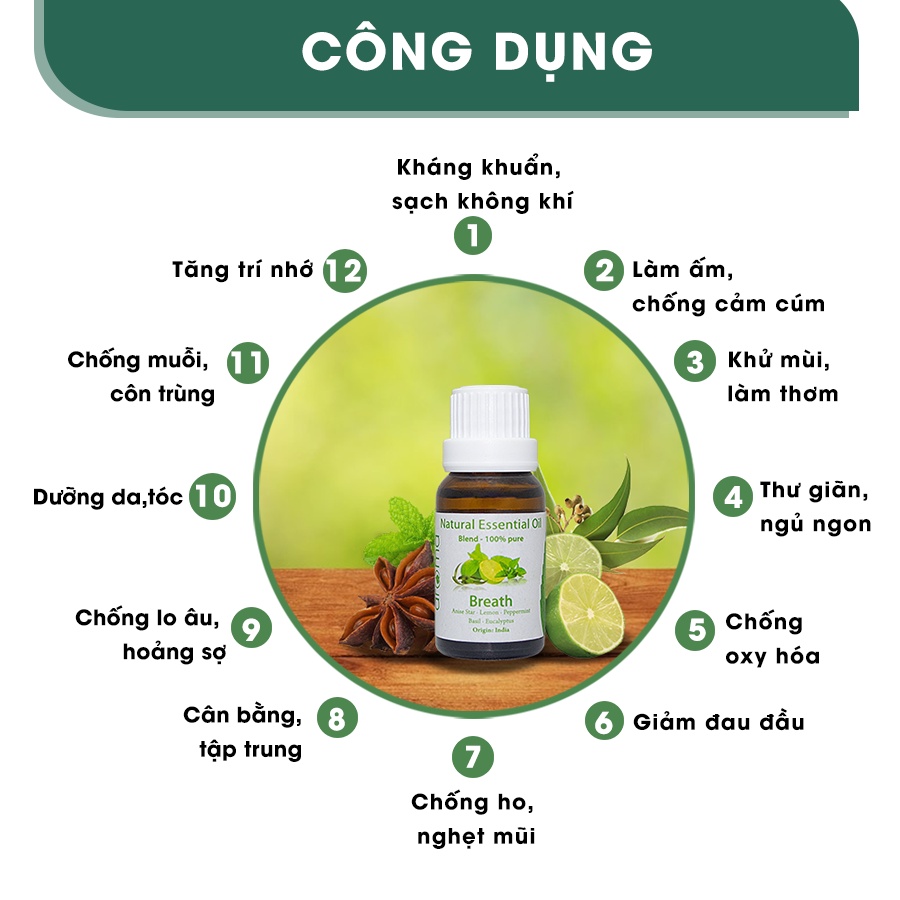 Tinh dầu xông AROMA Khuynh Diệp Bạc Hà Breath 10ml