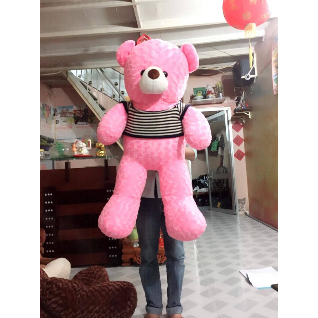 Gấu bông Teddy 1M