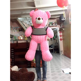 Gấu bông Teddy 1M