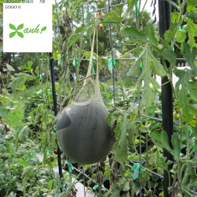 🌟Hạt Giống Dưa Hấu Đường Suger Baby🌟 Gói 15 Hạt