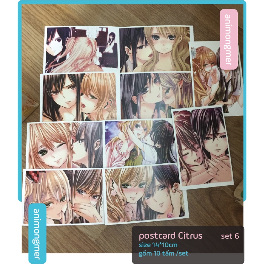 Postcard bưu thiếp Citrus