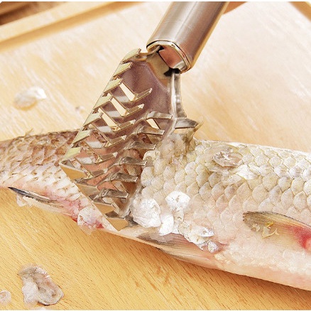 Dụng cụ cạo vảy cá sạch bằng inox tiện lợi nhanh chóng