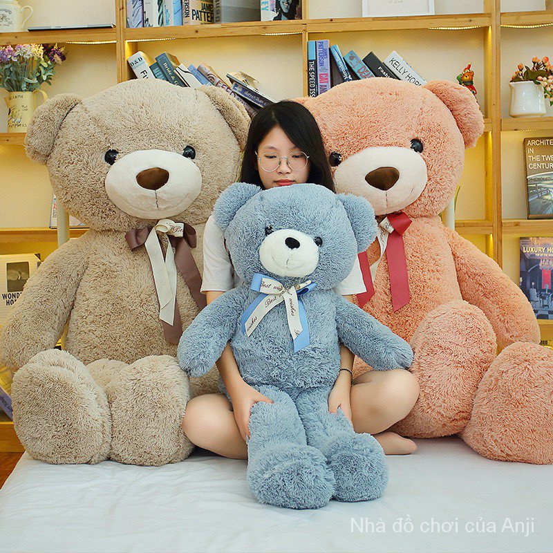 Gấu Teddy Nhồi Bông Dễ Thương 80cm / 31.5inch