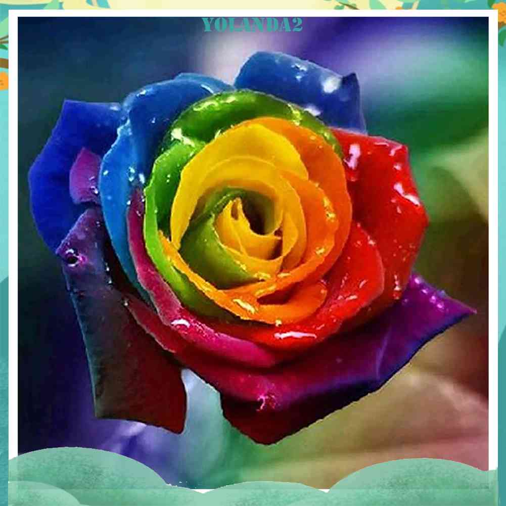 Bộ Tranh Thêu Chữ Thập Hình Hoa Hồng Nhiều Màu Sắc 11CT