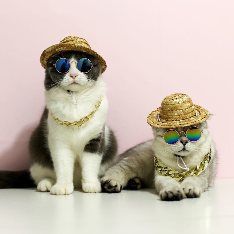 Vòng cổ cho thú cưng dạng xích mạ vàng và bạc siêu ngầu