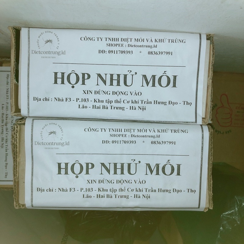 Hộp nhử mối làm bằng gỗ thông - dẫn dụ mối